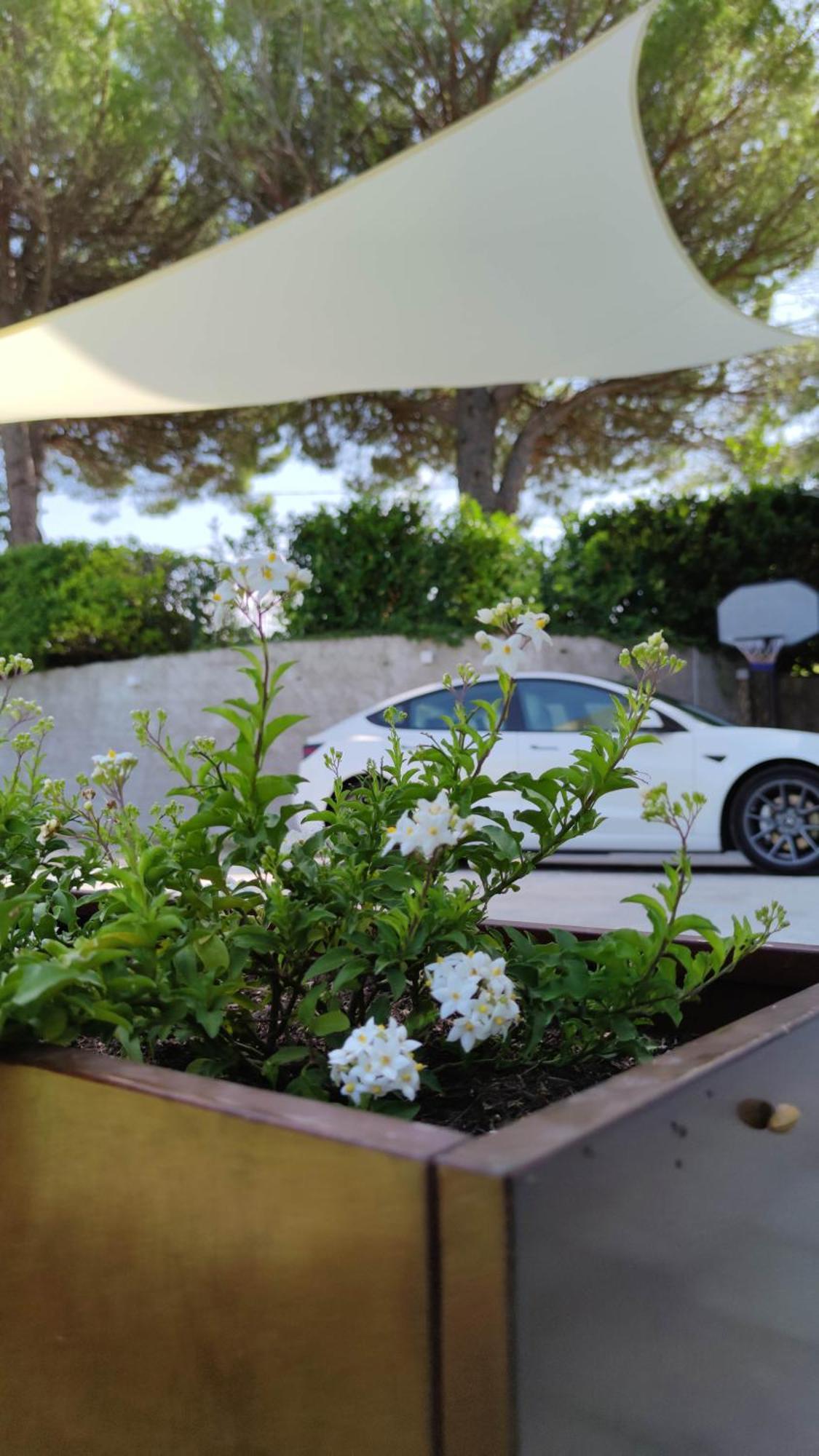 Residenza Bertolini Διαμέρισμα Fosdinovo Εξωτερικό φωτογραφία