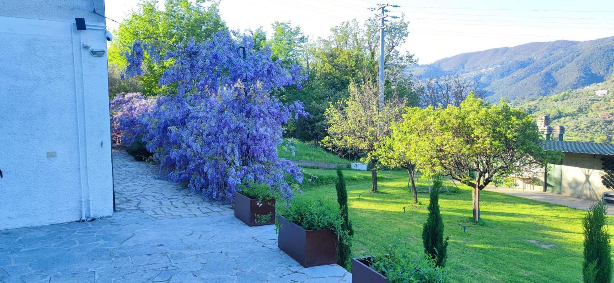 Residenza Bertolini Διαμέρισμα Fosdinovo Εξωτερικό φωτογραφία