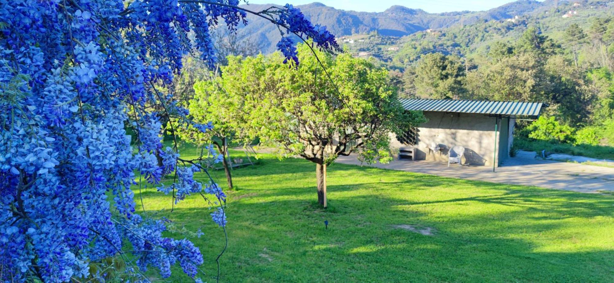 Residenza Bertolini Διαμέρισμα Fosdinovo Εξωτερικό φωτογραφία
